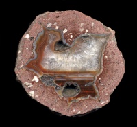 Felsenschlag Thunderegg